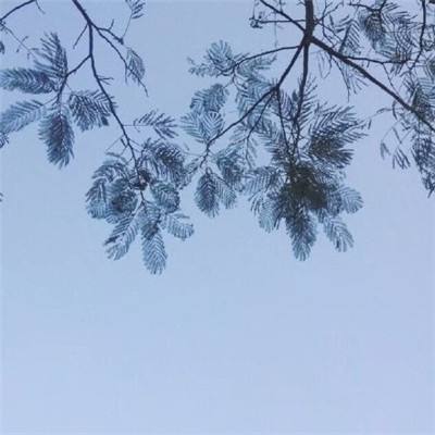 切片战争手游下载